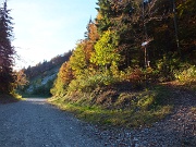 05 Parto dai pressi del Passo della Crocetta  (1267 m)